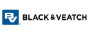 Blackveatch